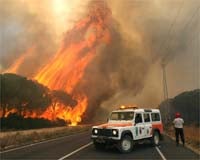 Desalojadas cientos de viviendas por un incendio en un paraje de Conil