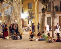 Málaga y Sevilla concentran la mayoría de denuncias porque sigue habiendo botellón