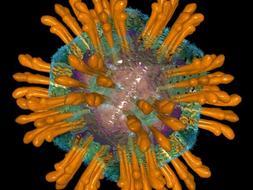 Casi un millón de españoles desconoce ser portador de algún virus de la hepatitis