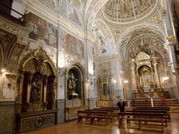 Amigo Vallejo inaugurará la iluminación artística de San Pedro de Alcántara