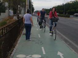 Detectados 43 «puntos negros» en el carril bici de Sevilla