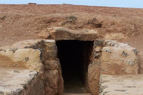 Luz verde a la excavación de dos yacimientos en Gandul