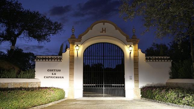 La fallecida nieta de William R. Hearst pagaba el alumbrado navideño de Gerena
