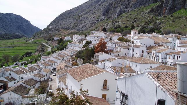 Marcado contraste el que crean las blancas fachadas de las casas de Villaluenga con el verdor de la sierra