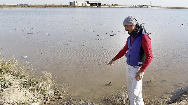 Aumentan los afectados por la fiebre de las ratas en Isla Mayor