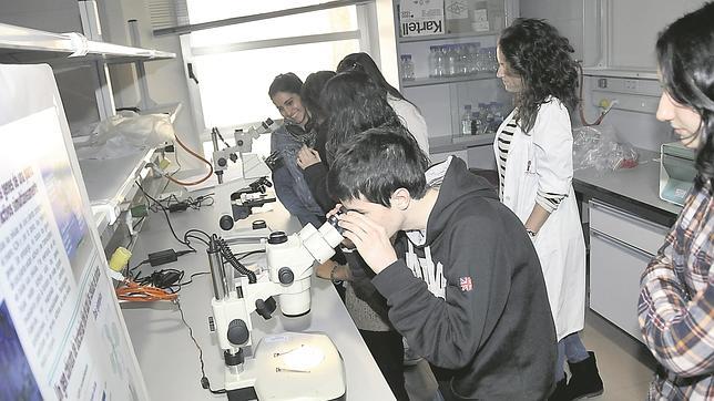 La Junta de Andalucía rechaza el 80% de becas para las familias menos pudientes