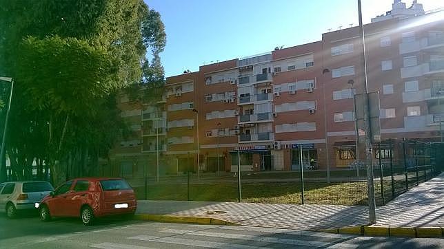 El PP pide el saneamiento de varias zonas verdes de Montequinto