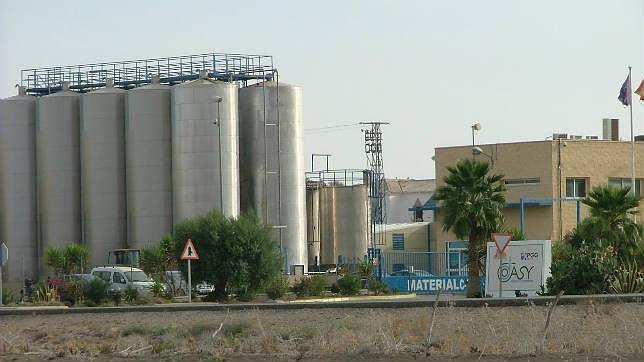 La empresa investigada Dasy deja de retirar animales muertos de las fincas