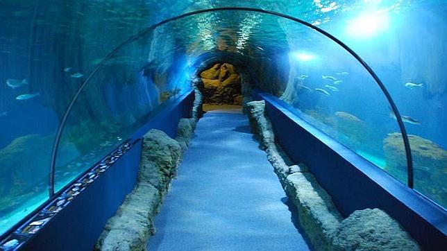 Almuñécar se sumerge en su nuevo acuario