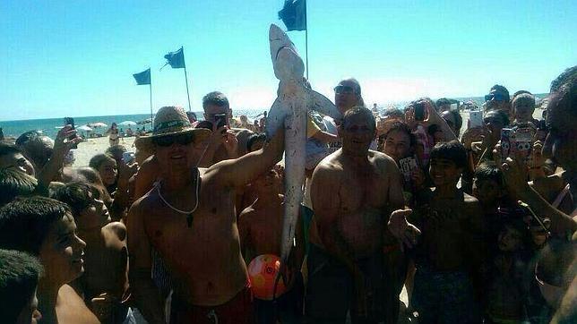 Un tiburón sorprende a los bañistas en la playa de Matalascañas
