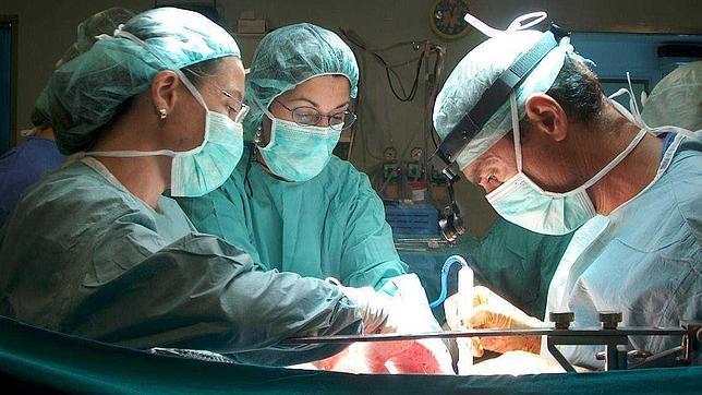 Hitos del Virgen del Rocío en trasplantes de órganos
