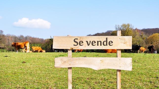 Comprar una finca agraria en Sevilla es un 21% más barato que en 2009