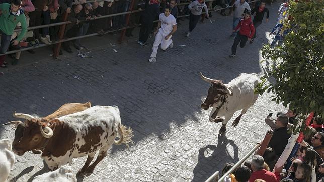 Los sanfermines se mudan a Sevilla