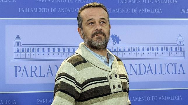 El portavoz del grupo parlamentario de Izquierda Unida, José Antonio Castro