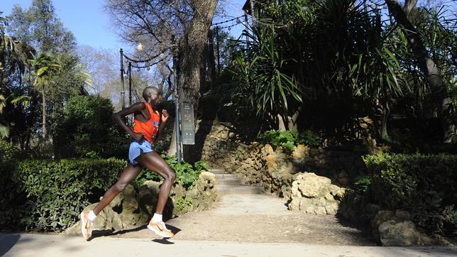 Diez razones para citarte con Filípides en el Zurich Maratón de Sevilla 2015