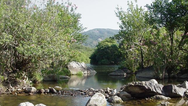 En plena naturaleza por el Parque Natural de los Alcornocales