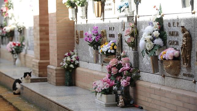 El caso del cadáver perdido en Sevilla revela decenas de exhumaciones sin control