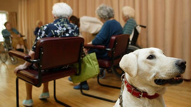 Los mayores de la residencia Gerón disfrutan de los beneficios de las terapias con perros