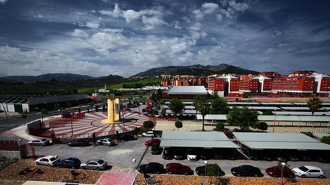 Diecinueve de cada cien alumnos de la UJA lo dejan en el primer curso