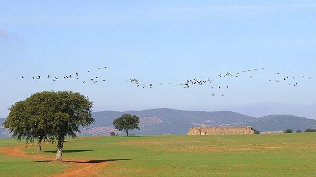 El precio de las fincas agrícolas cae un 20 por ciento en tres años