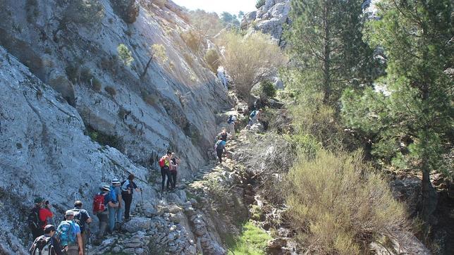 El jardín de la Universidad de Jaén, muy particular y «muy de Jaén»