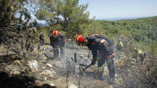 La Policía Autónoma esclareció todos los incendios forestales de 2014 en Jaén