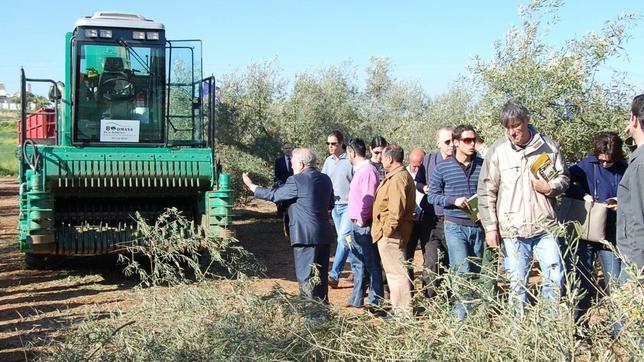 Empresas presentaban compromisos falsos de contratación para recabar las ayudas