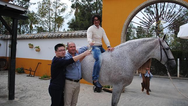 Los caballos lebrijanos conquistan China