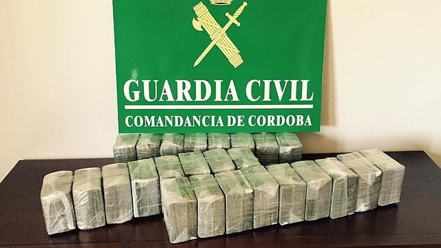 La Guardia Civil detiene a un hombre que viajaba con 25 kilos de hachís