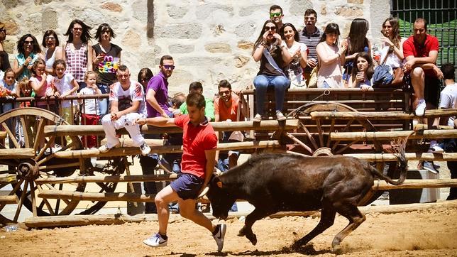 Un millar de personas asisten a la Vaca de San Isidro