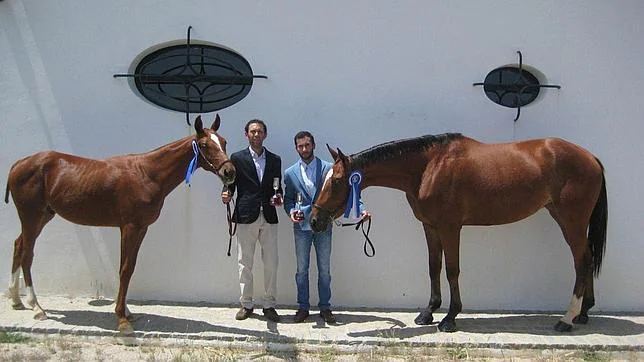 Dos caballos de dos hermanos de Cazalla conquistan el templo ecuestre de Jerez