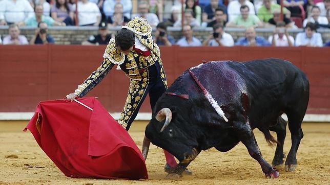 «El presidente actuó conforme a su criterio y al Reglamento»