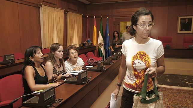 Comisión de Cooperación y Solidaridad en el Ayuntamiento en tiempos de Izquierda Unida