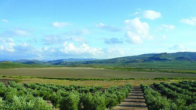 Las compraventas y arrendamientos de tierras no tendrán que pagar el IVA