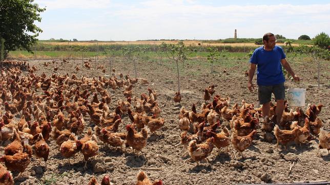 Abren una granja para cuidar a su hija, con el síndrome de «la bella durmiente»