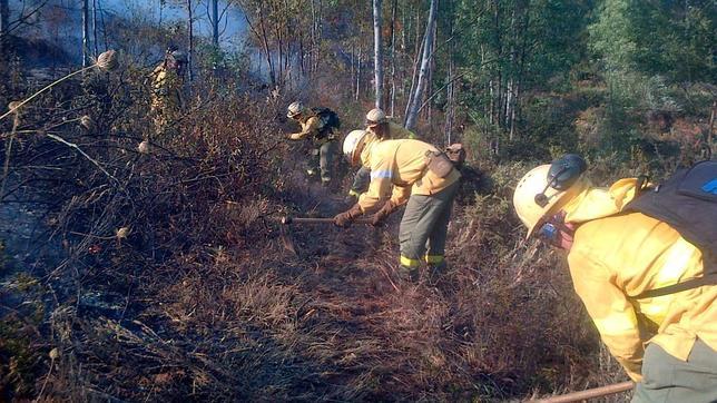 Declarado un incendio en una zona de naranjos en Almonaster la Real