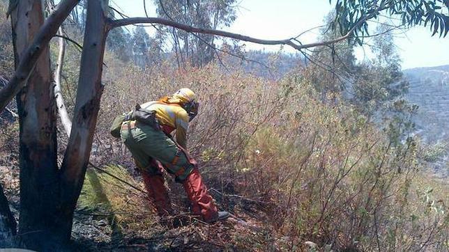 Estabilizado el incendio declarado en Quesada tras arrasar unas 200 hectáreas