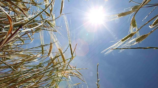 Sólo cinco comarcas de Almería y Granada sufren sequía, pero leve