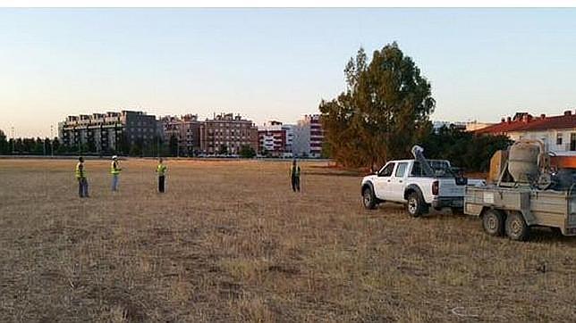 El Ayuntamiento paraliza el vallado de la Ciudad Deportiva del Córdoba CF