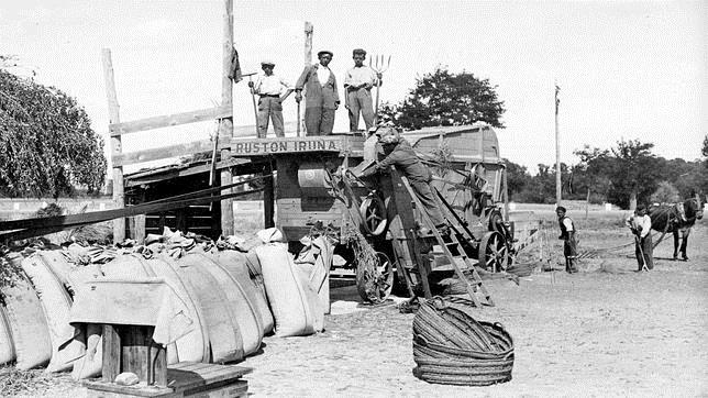 El crimen del Cortijo de los Libros