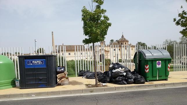 Basura y abandono en La Cartuja