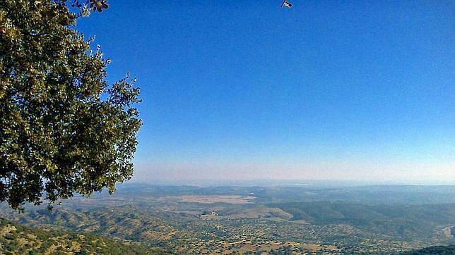 Asaja propone recuperar al «pastor de árboles» para proteger los bosques