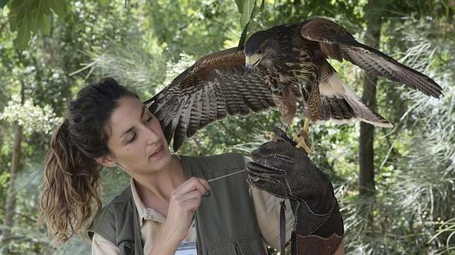 Nuevas rapaces para el Parque de las Ciencias