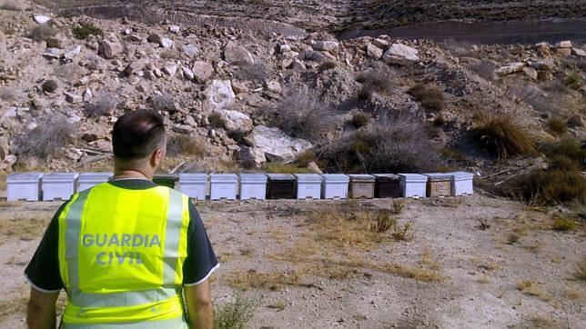 Sustrae 23 colmenas de una explotación apícola del Poniente
