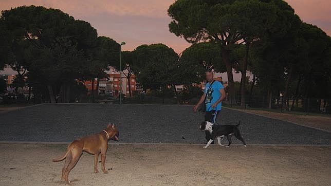 Ni las multas ni las campañas acaban con los excrementos de perros en las calles