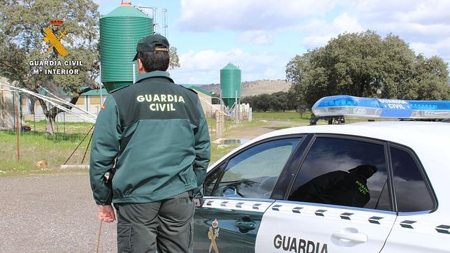 Medio millar de detenidos o imputados por delitos en el campo desde 2013