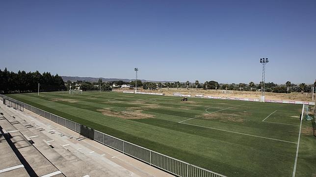 Urbanismo opta por modernizar la Ciudad Deportiva para el uso del Córdoba CF