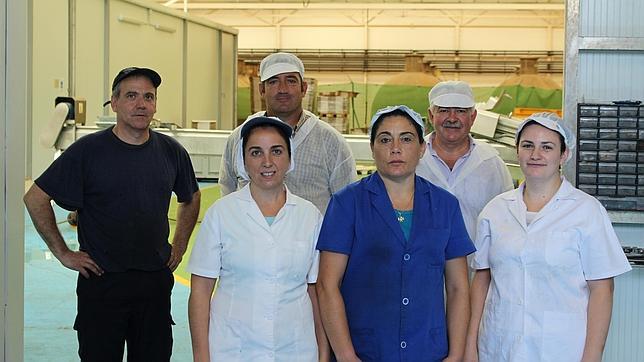 Las olivas deshidratadas abren mercado y sinergias mejorando el medio ambiente