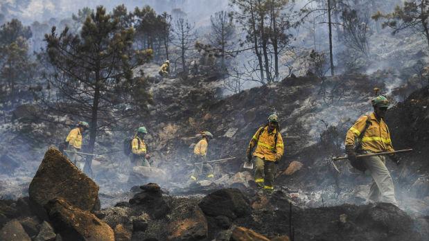 Miembros del Infoca trabajando en un incendio forestal en Málaga / Archivo