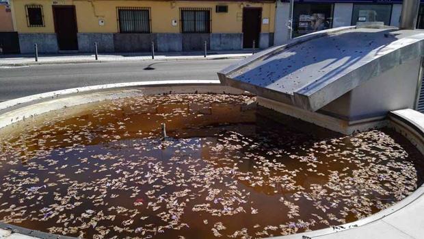 Denuncian el abandono de la fuente del monumento a María Auxiliadora de Utrera